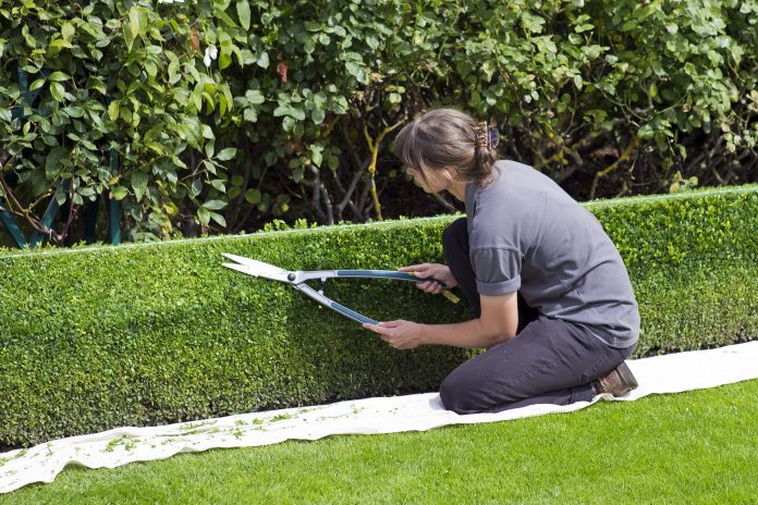 Person trimming hedge in a garden, representing a landscape gardening business